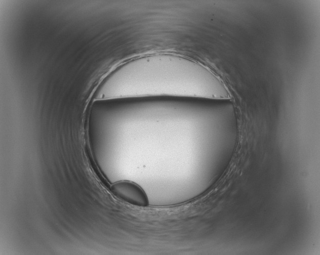 X0000062640002200512211020
