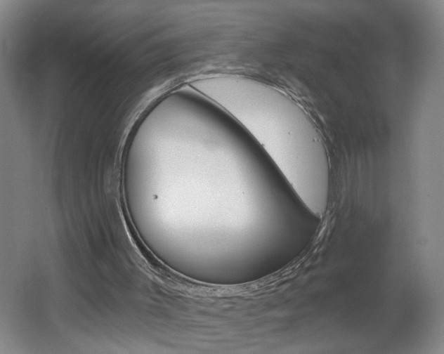 X0000062640003200512211020
