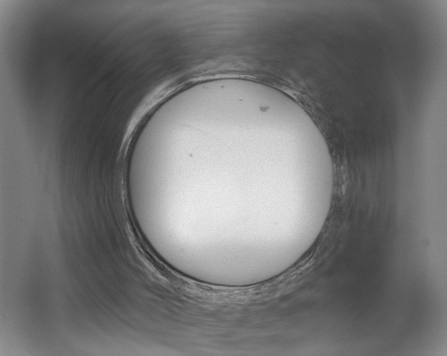 X0000062640004200512211020