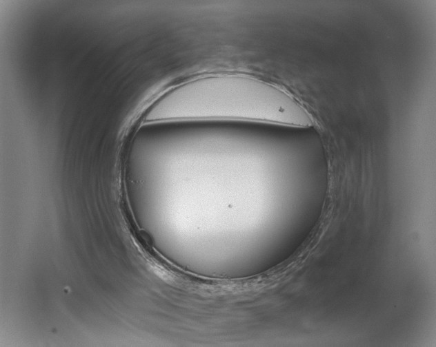 X0000062640005200512211020