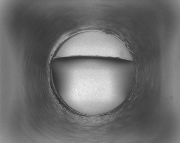 X0000062640006200512211020