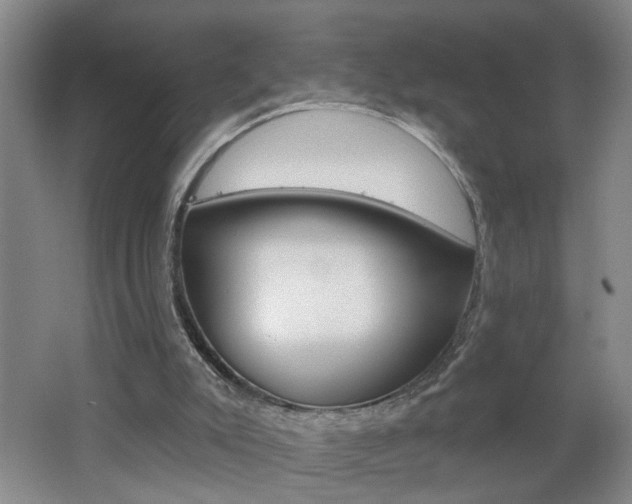 X0000062640007200512211020