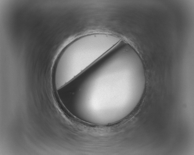 X0000062640008200512211020