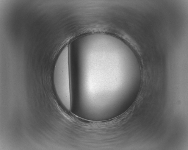 X0000062640009200512211020