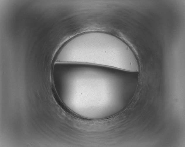 X0000062640011200512211019