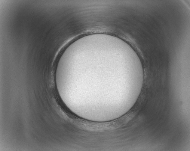 X0000062640012200512211019