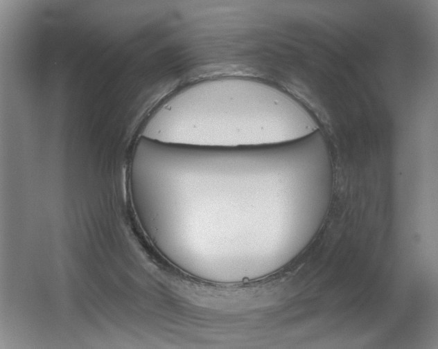 X0000062640014200512211019