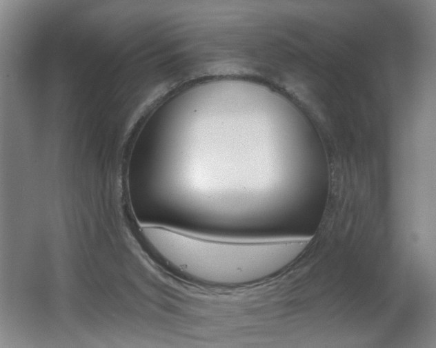 X0000062640015200512211019