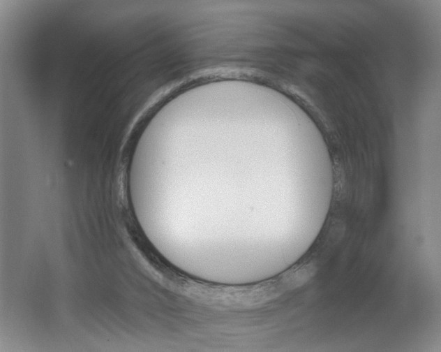 X0000062640016200512211019