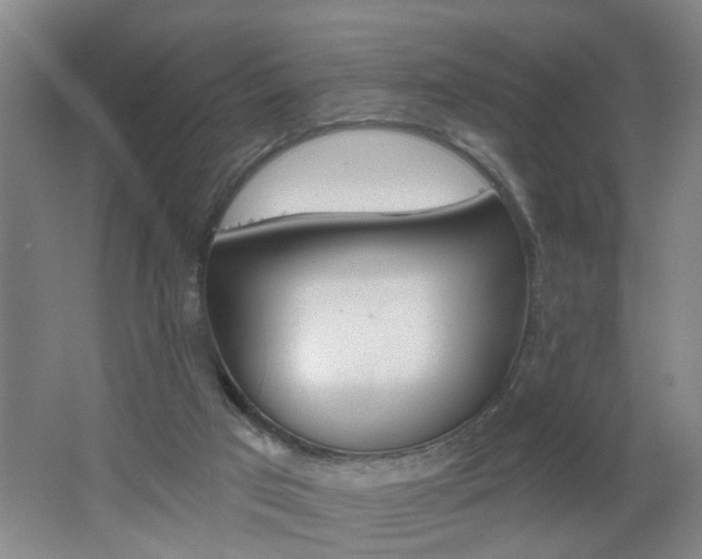 X0000062640017200512211019