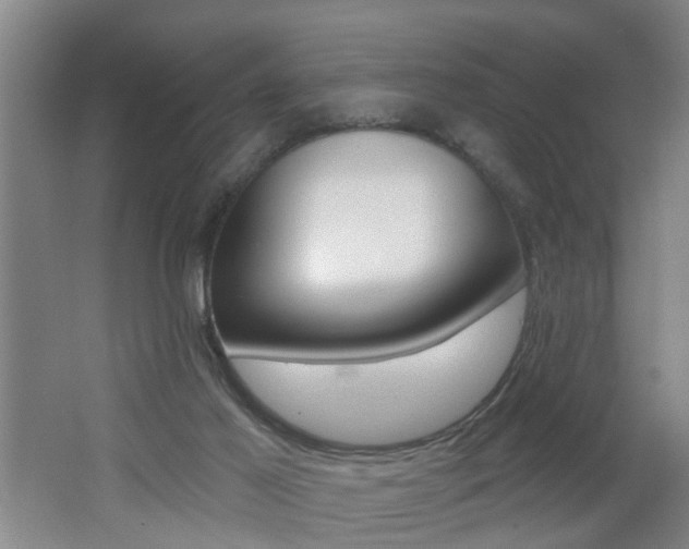 X0000062640021200512211019