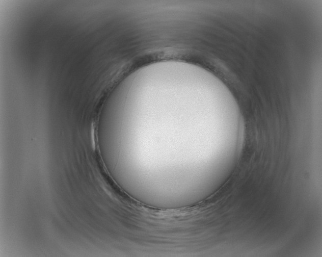 X0000062640022200512211019