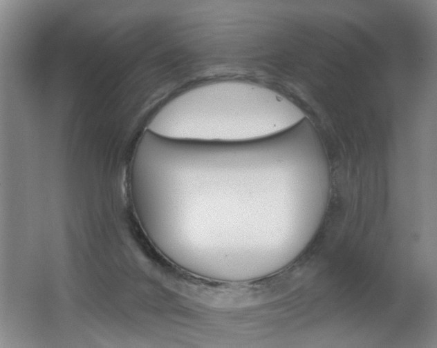 X0000062640024200512211019