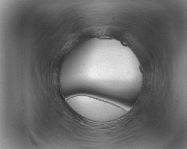 X0000062640035200512211019