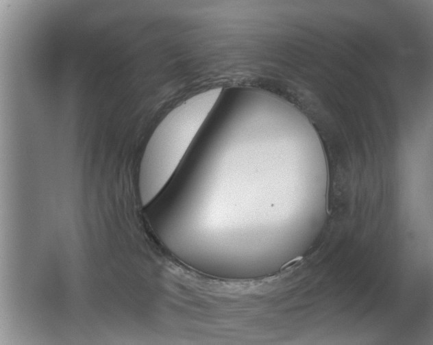 X0000062640037200512211019