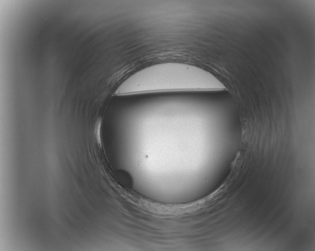X0000062640047200512211019