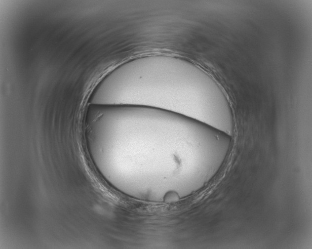 X0000062640049200512211018