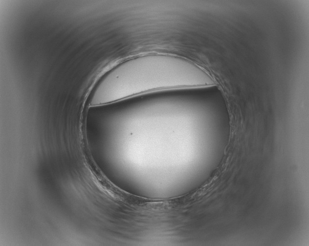 X0000062640050200512211018