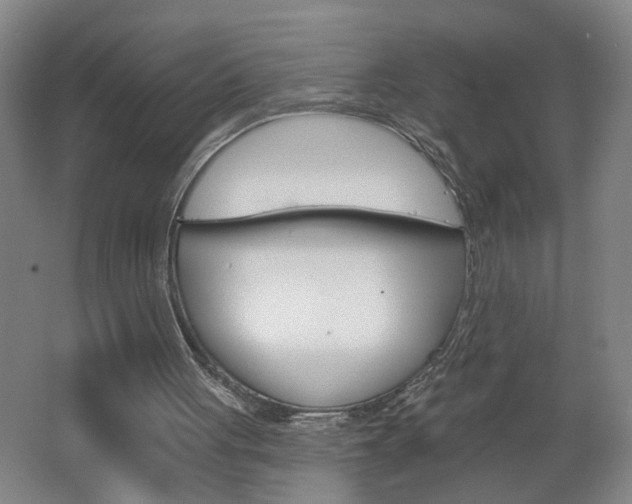 X0000062640051200512211018