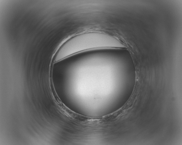 X0000062640052200512211018