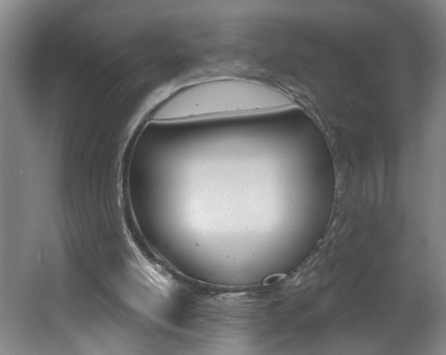 X0000062640054200512211018
