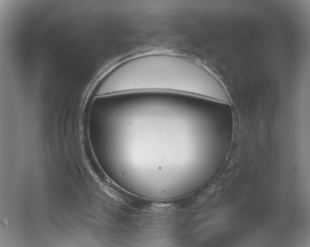 X0000062640055200512211018