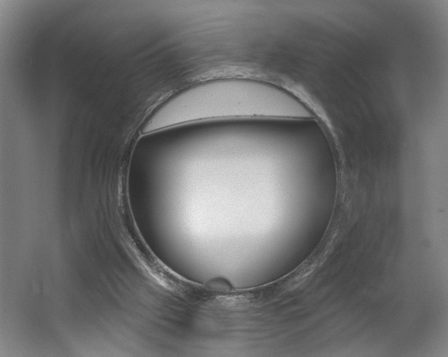 X0000062640057200512211018