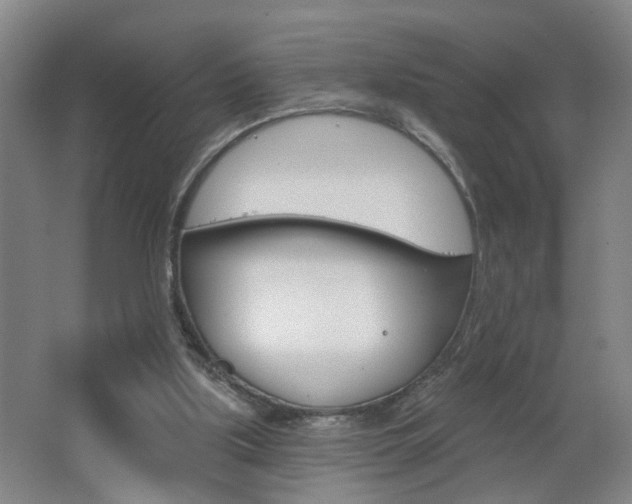 X0000062640059200512211018