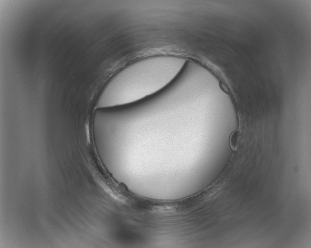 X0000062640061200512211018