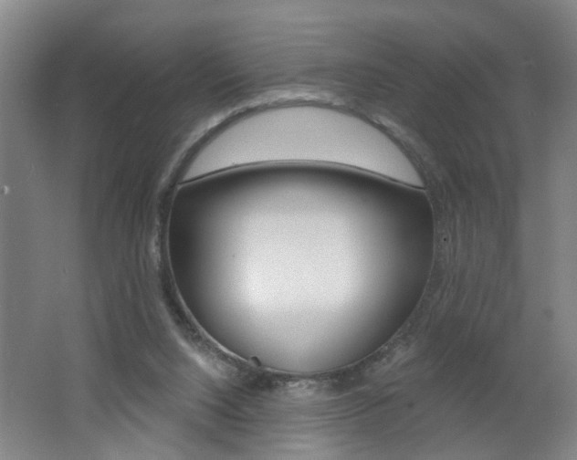 X0000062640064200512211018