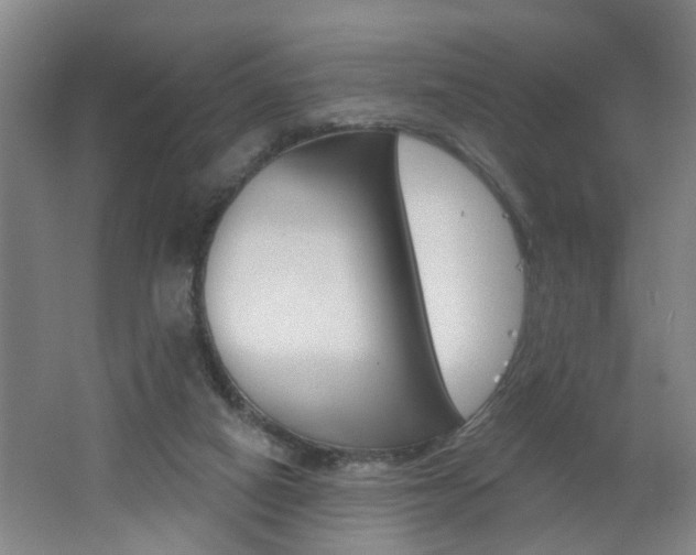 X0000062640066200512211018