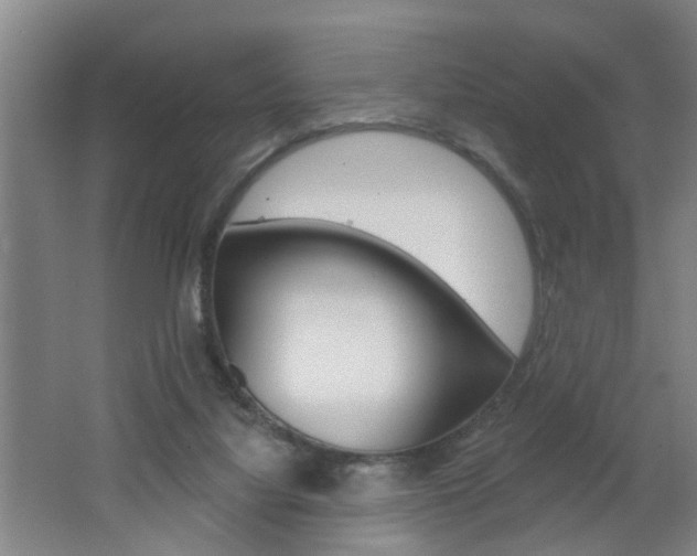 X0000062640068200512211018