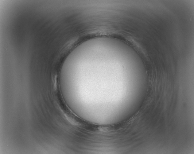 X0000062640070200512211018