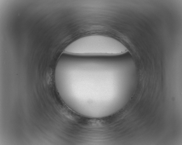 X0000062640073200512211018