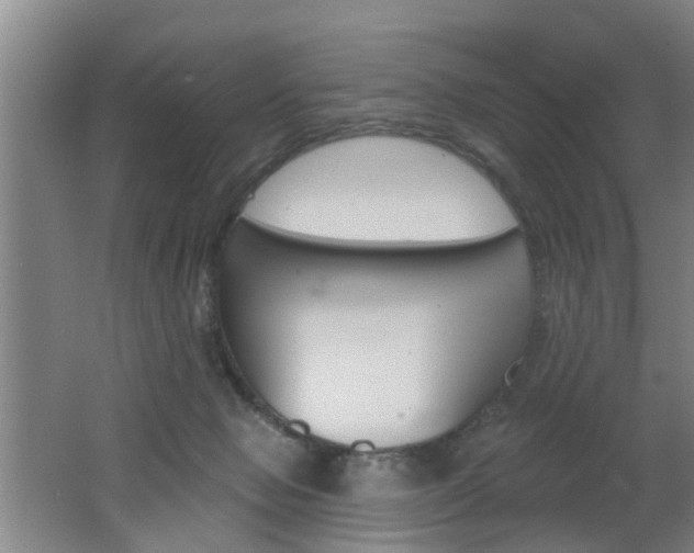 X0000062640077200512211019