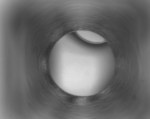 X0000062640086200512211019