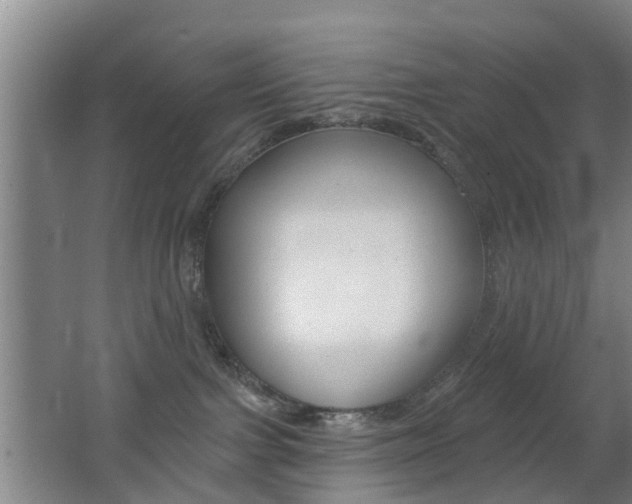 X0000062640091200512211019