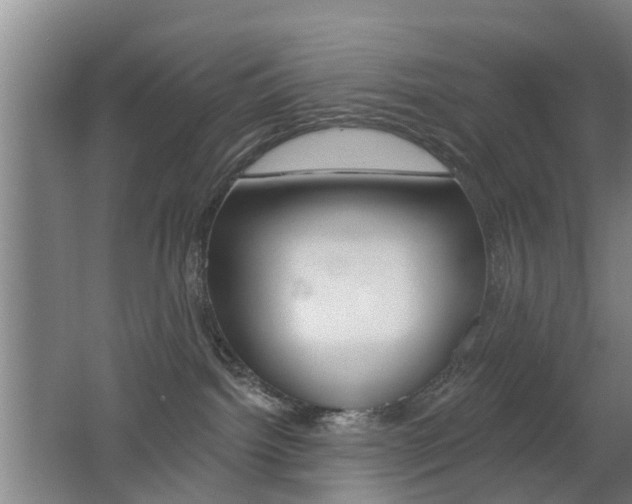 X0000062640092200512211019