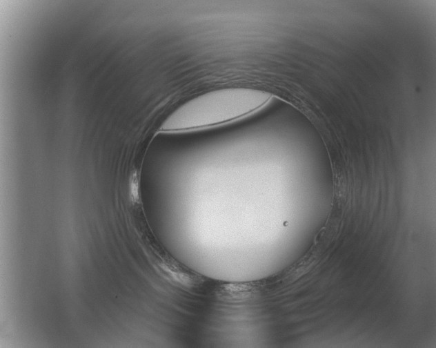 X0000062640095200512211019