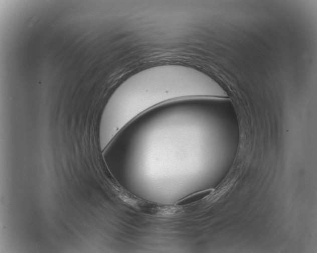 X0000062640096200512211019