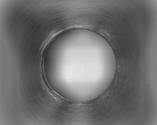 X0000062640098200512211018