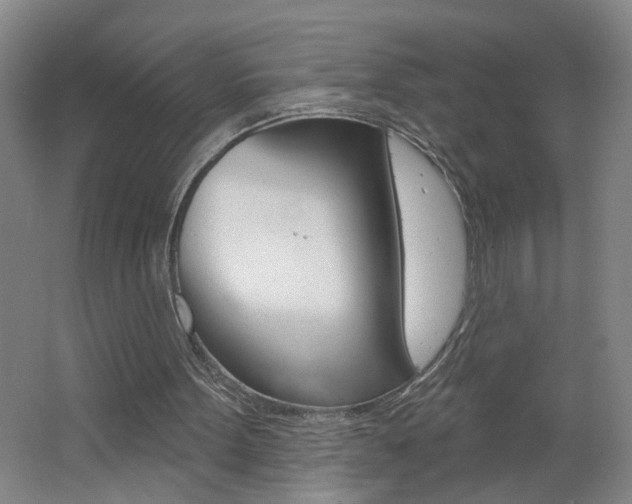 X0000062640099200512211018