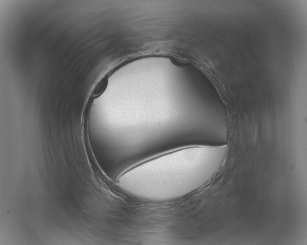 X0000062640100200512211018