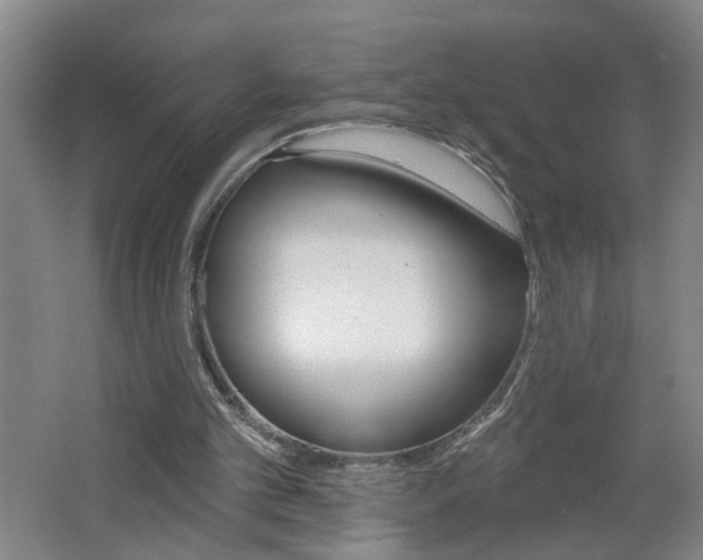 X0000062640101200512211018
