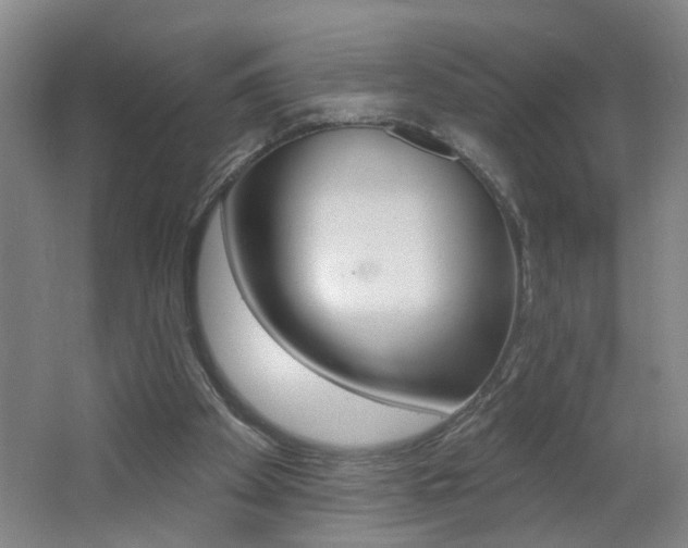 X0000062640105200512211018
