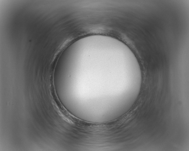 X0000062640106200512211018