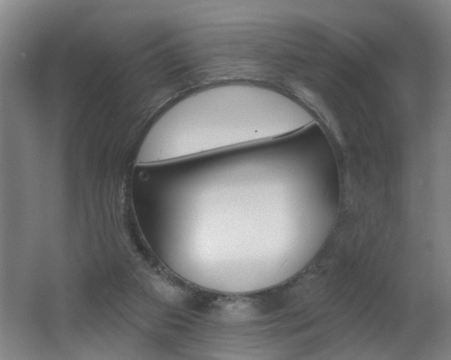 X0000062640113200512211018