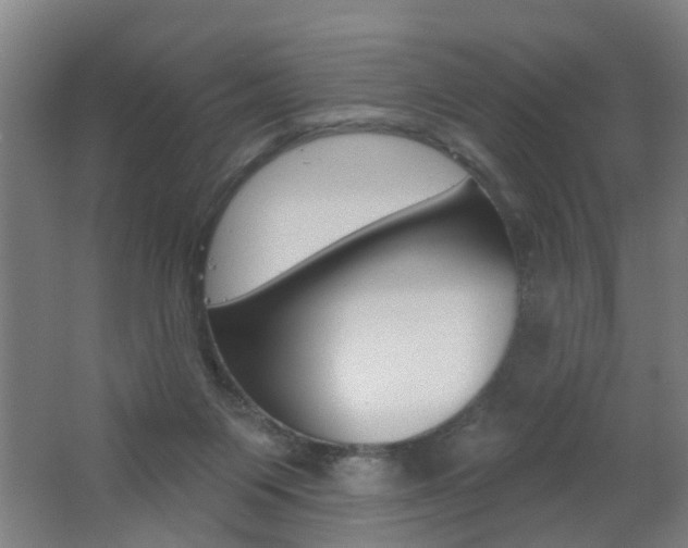 X0000062640119200512211018