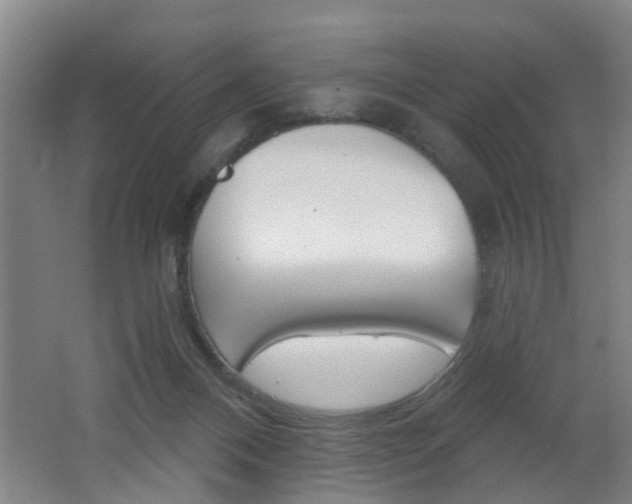 X0000062640120200512211018