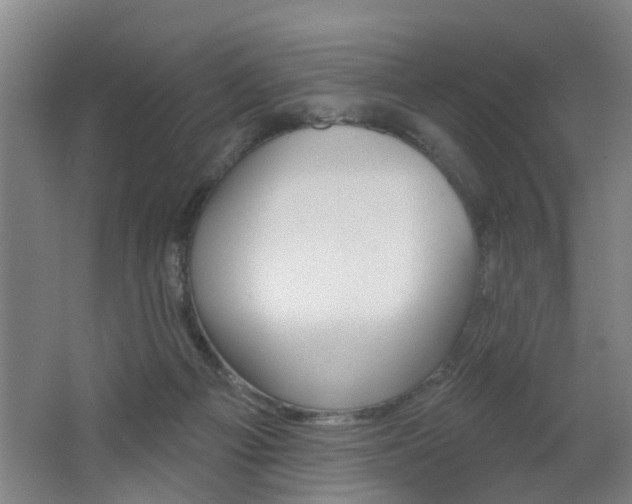 X0000062640121200512211018